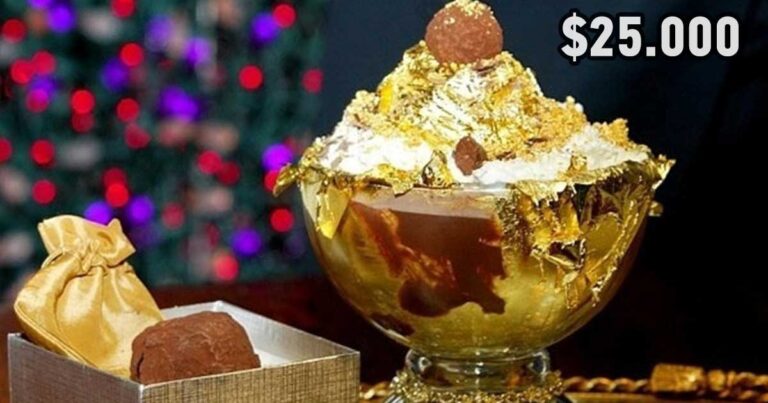 Tα 5 πιο ακριβά μικρά γεύματα του κόσμου!