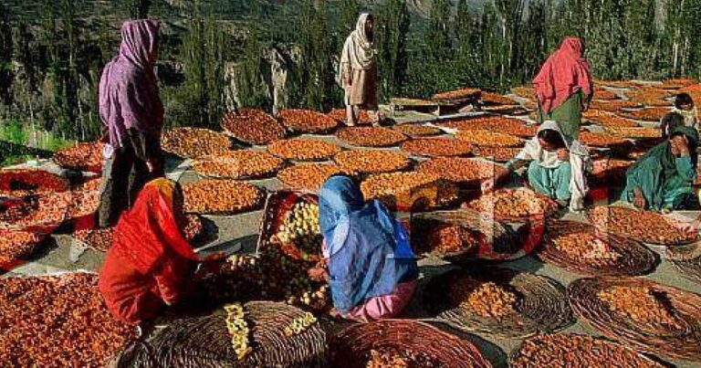 Γιατί η φυλή Χούνζα έχει ανοσία από τον καρκίνο;