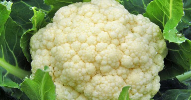 Ποια είναι τα 15 πιο καθαρά, χωρίς φυτοφάρμακα, τρόφιμα;