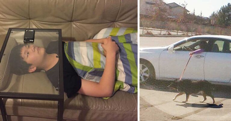 15 καταστάσεις από επαγγελματίες… τεμπέληδες!