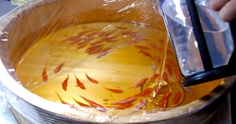 Τα τρισδιάστατα χρυσόψαρα Ιάπωνα καλλιτέχνη που εντυπωσιάζουν! (βίντεο)