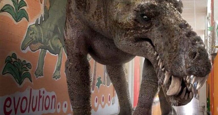 10 από τα πιο τρομακτικά προϊστορικά τέρατα που δεν ήταν δεινόσαυροι!