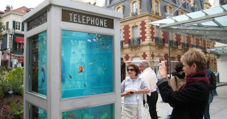 Καλλιτέχνης μετατρέπει τους τηλεφωνικούς θαλάμους σε… ενυδρεία!