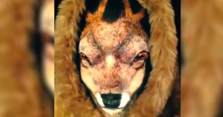 Μοιάζει με έναν τάρανδο αλλά δεν είναι. Δείτε για τι πρόκειται στα αλήθεια και θα μείνετε με το στόμα ανοιχτό!