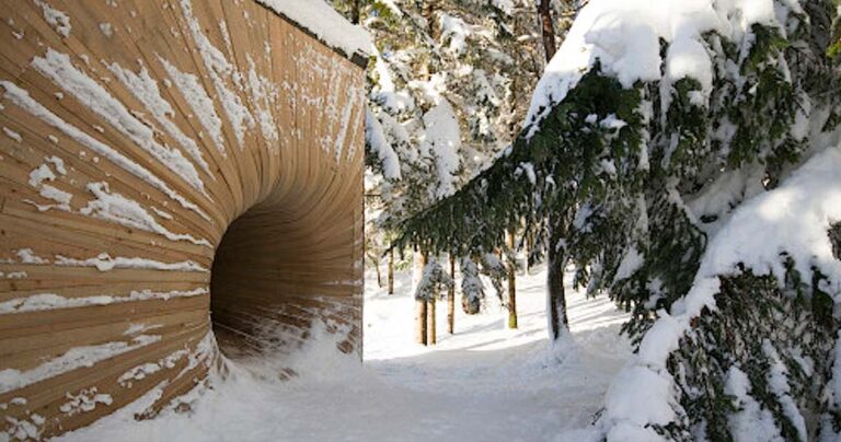 Βρήκαν μια παράξενη τρύπα στο δάσος. Αυτό που είδαν μέσα δεν το περίμεναν με τίποτα!