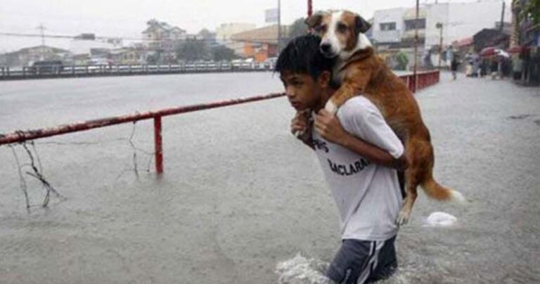 Φωτογραφίες που είναι κάτι παραπάνω από απλές