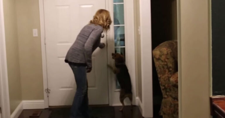 Ένας άντρας έλειπε από το σπίτι του 2 χρόνια. Τι έγινε όταν τον είδε ο σκύλος του; Κάτι πολύ συγκινητικό….