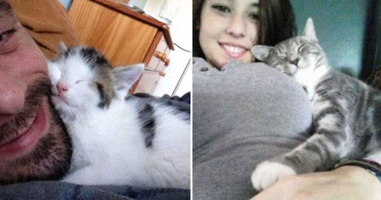 28 ζωάκια που ξέρουν να χρησιμοποιούν τους ανθρώπους τους σαν μαξιλάρια!