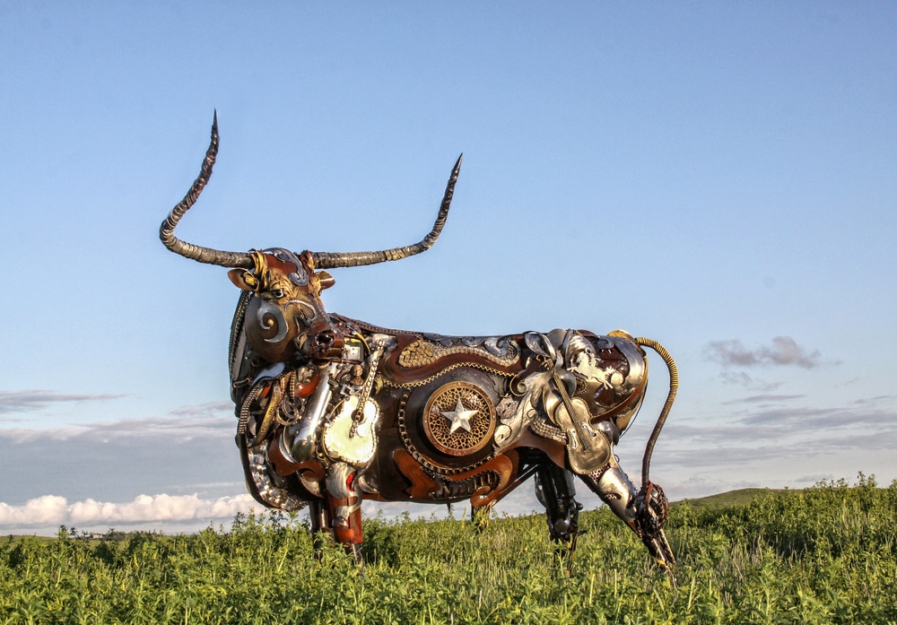 texaslonghorn2