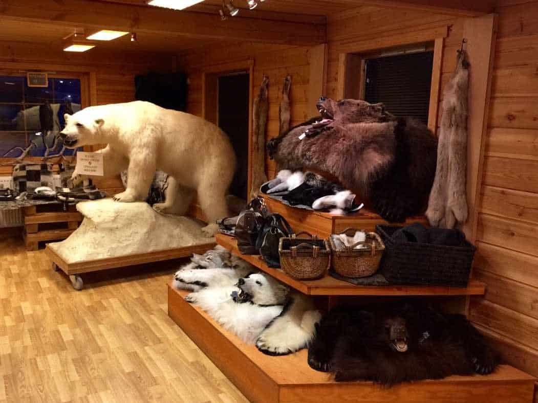 a variety of animal skins seal fox yak and polar bear among others are available for purchase in longyearbyen