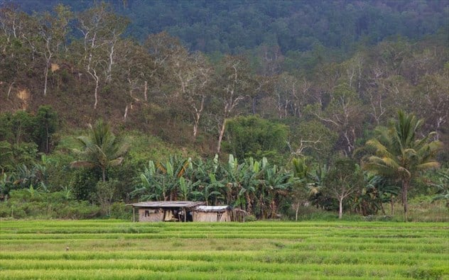 anatoliko timor east timor