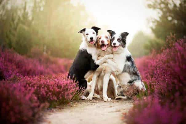 asteies-fwtografies-11140