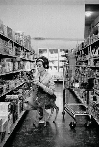 Audrey%20Hepburn%20shopping%20with%20her%20pet%20deer%2C%20Ip%2C%20in%20Beverly%20Hills%2C%20CA%20-1958.%20