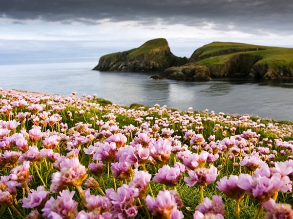 fair isle