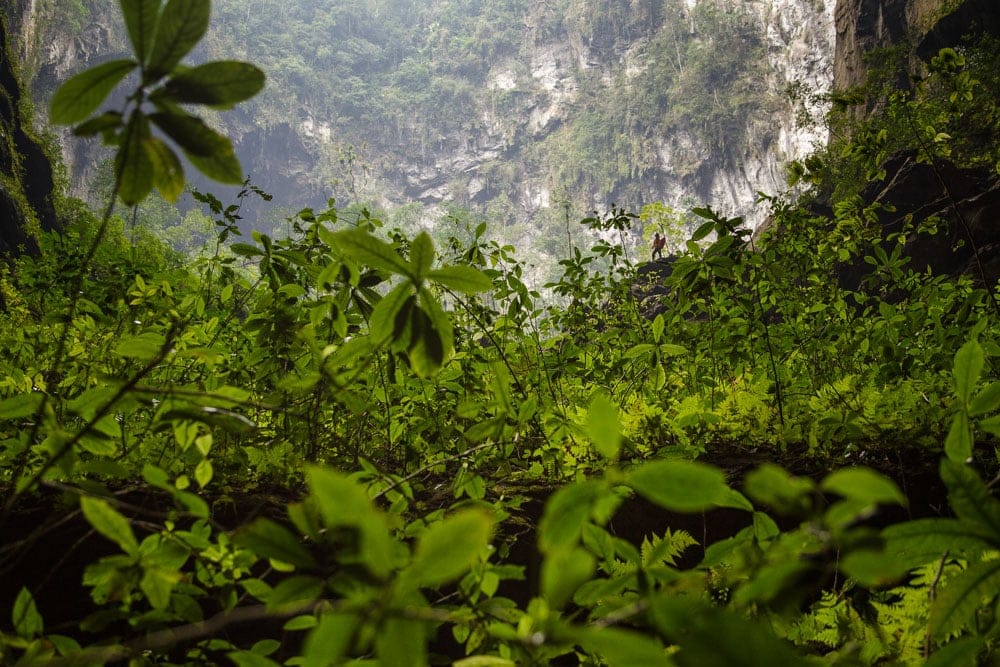 Hang-Son-Doong-Cave-Garden-of-Edam