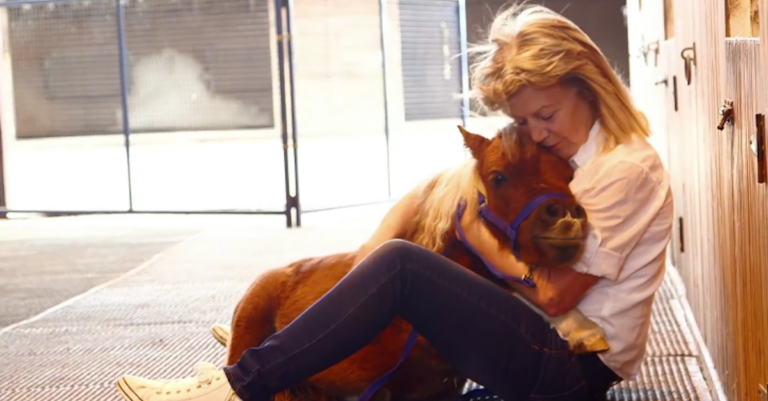 Αυτό είναι το μικρότερο άλογο στο κόσμου. Έχει σπάσει το παγκόσμιο ρεκόρ και θα σας κλέψει την καρδιά!