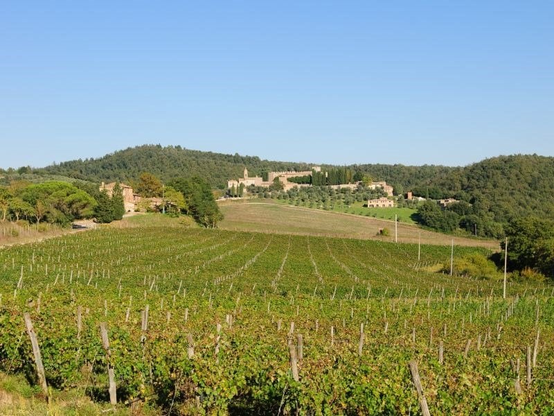 More than 45 acres of vineyard surround the castello.