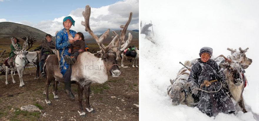 reindeer-people-hamid-sardar-afkhami-10