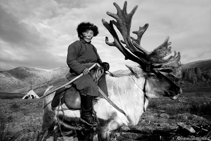 reindeer-people-hamid-sardar-afkhami-2