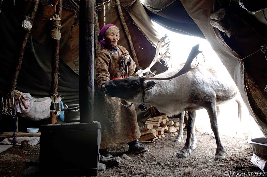 reindeer-people-hamid-sardar-afkhami-5