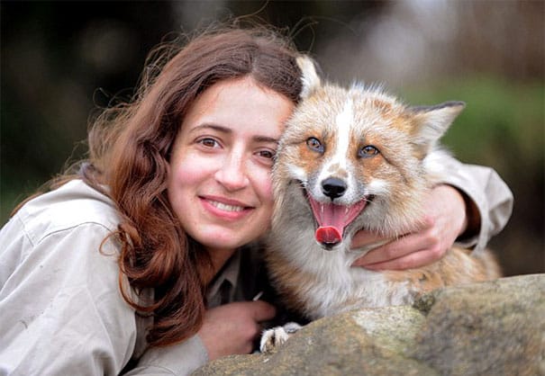 rescued-tame-pet-fox-cub-todd-emma-dsylva-5