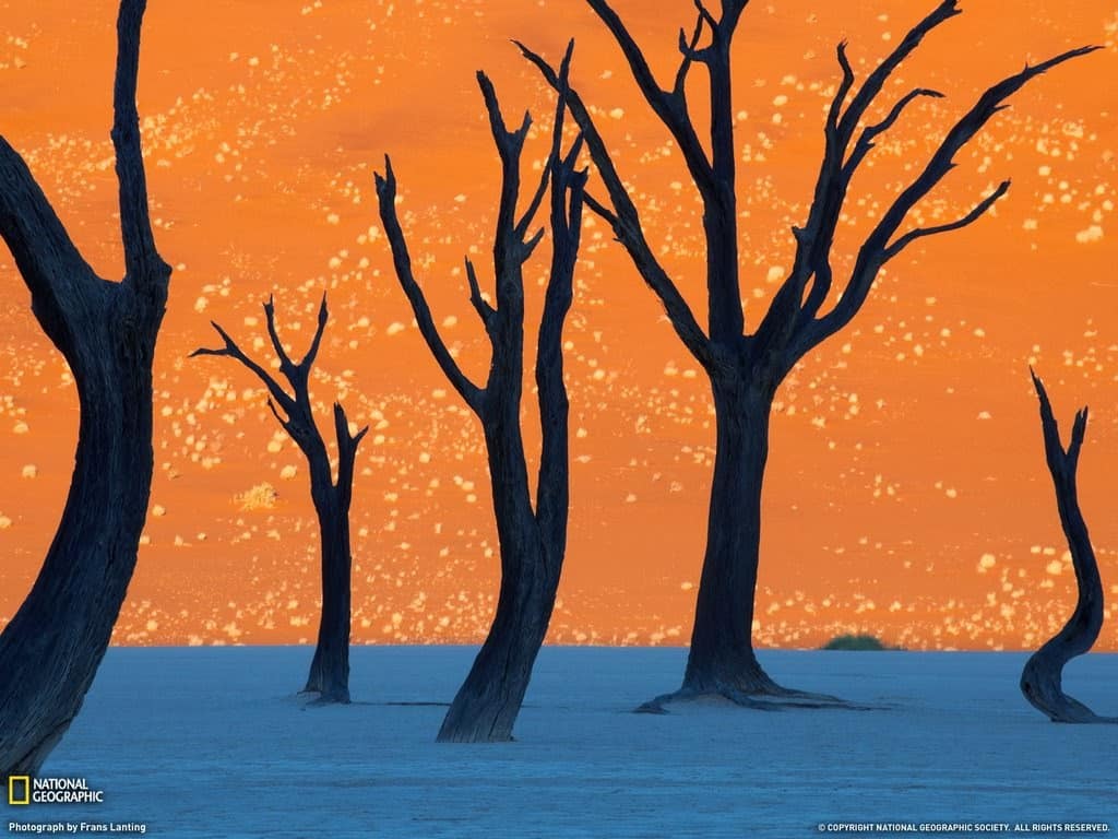 the orange sossusvlei sand dunes in namibia