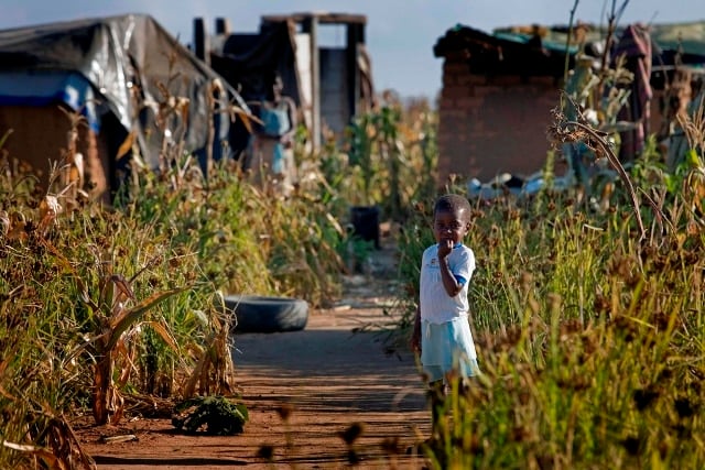 zimbabwe4