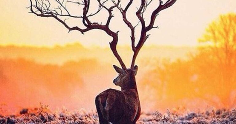 44 παράλογες φωτογραφίες που θα χρειαστείτε λίγο χρόνο για να τις καταλάβετε