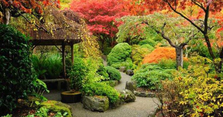 H αναγνώριση του καλού που υπάρχει στη ζωή σου είναι η βάση της αφθονίας