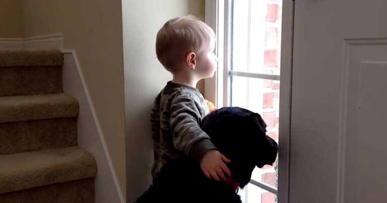 Έλειπε στο σκύλο η οικογένεια του. Δείτε τώρα τι κάνει το παιδάκι για αυτόν στο βίντεο.