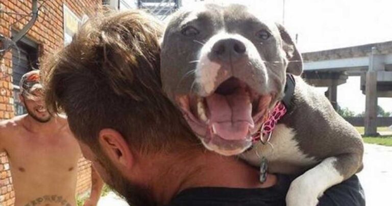 Ένας άστεγος άντρας συνάντησε ξανά τον σκύλο του. Δείτε τις συγκινητικές αντιδράσεις