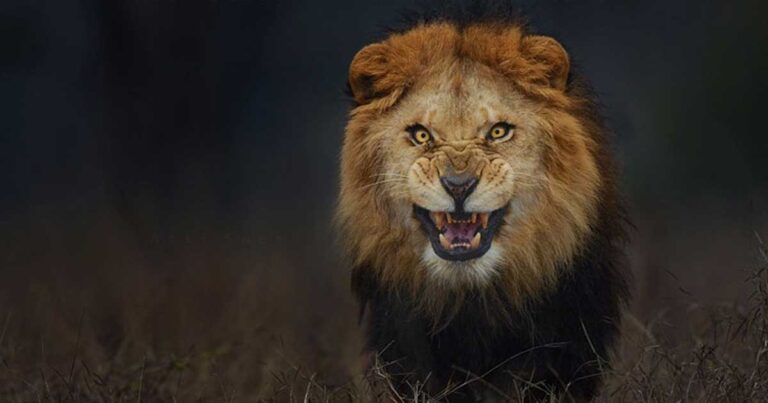 Ο φωτογράφος που τράβηξε αυτή τη φωτογραφία γλύτωσε τον θάνατο για λίγα δευτερόλεπτα