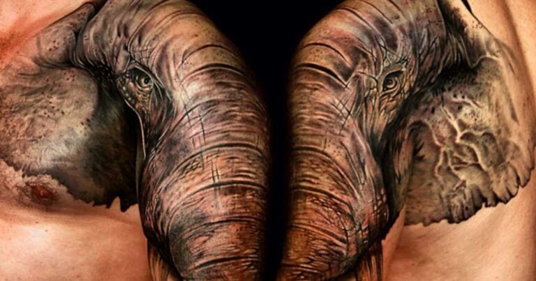 Tα πιο εντυπωσιακά τατουάζ με ζώα!