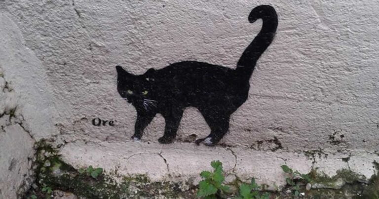 7 απίθανα και ξεχωριστά γκράφιτι στα στενά των Αναφιώτικων στη Πλάκα