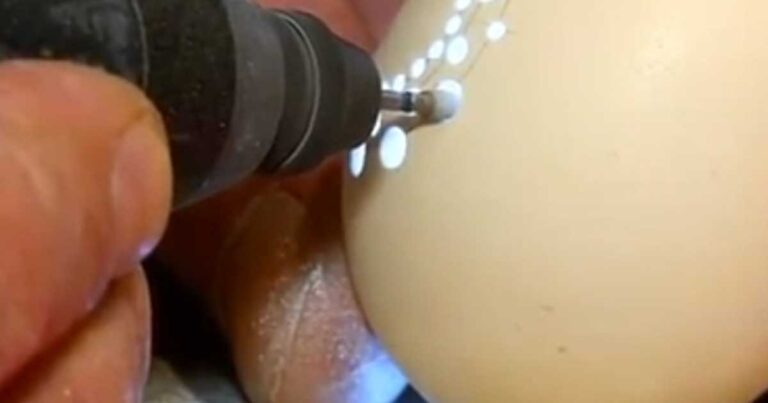 Άρχισε να τρυπάει ένα αυγό. Όταν τελείωσε δημιούργησε κάτι εκπληκτικό!