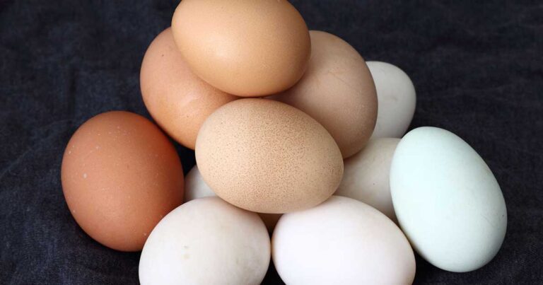 Κάντε το τεστ και δείτε εάν τα αβγά σας είναι φρέσκα!