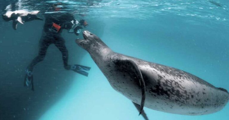 Αρχικά νόμιζε ότι θα τον φάει ζωντανό! Αντιθέτως έκανε κάτι πολύ παράξενο!