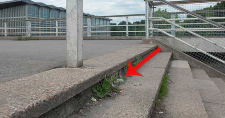 Φαίνονται απλές φωτογραφίες! Αν όμως μεγεθύνετε θα δείτε ότι κρύβουν κάτι το εντυπωσιακό!