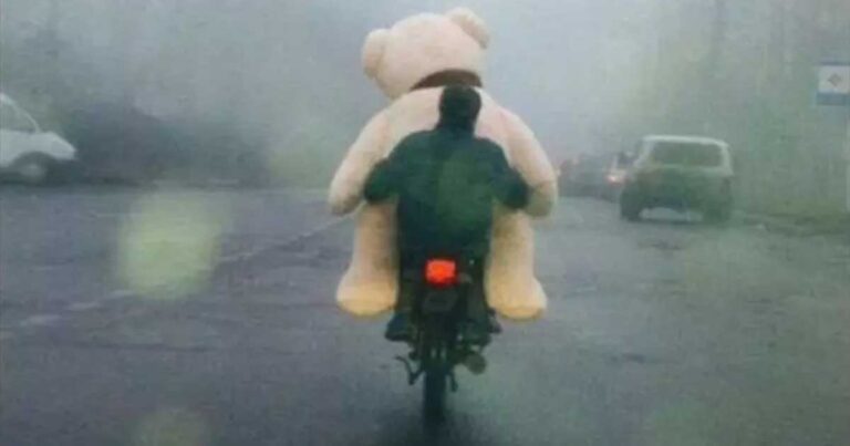 Tρελές καταστάσεις που συναντάς μόνο σε δρόμους