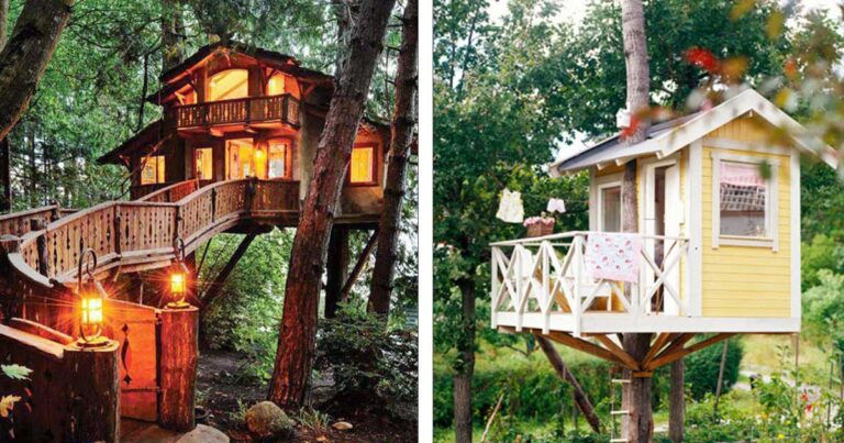 Μια φωτογραφική συλλογή με τα πιο ονειρεμένα δεντρόσπιτα!