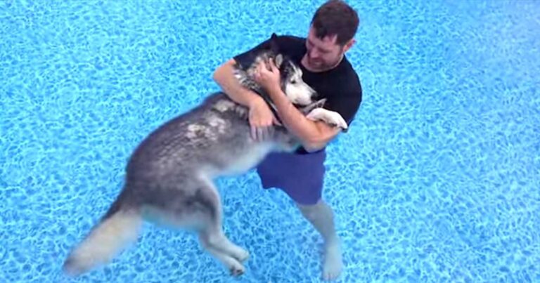 Έβαλε το γέρικο άρρωστο σκυλί του μέσα στην πισίνα. Ο λόγος είναι συγκινητικός