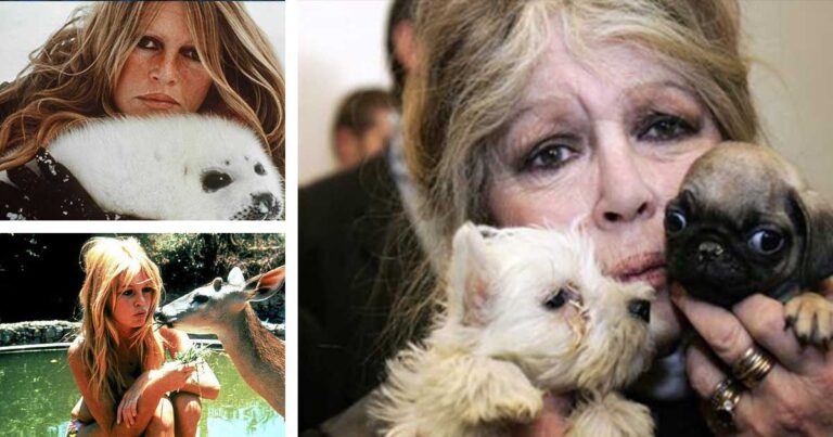 Ο παράδεισος που έφτιαξε η Μπριζίτ Μπαρντό για 4.000 ζώα