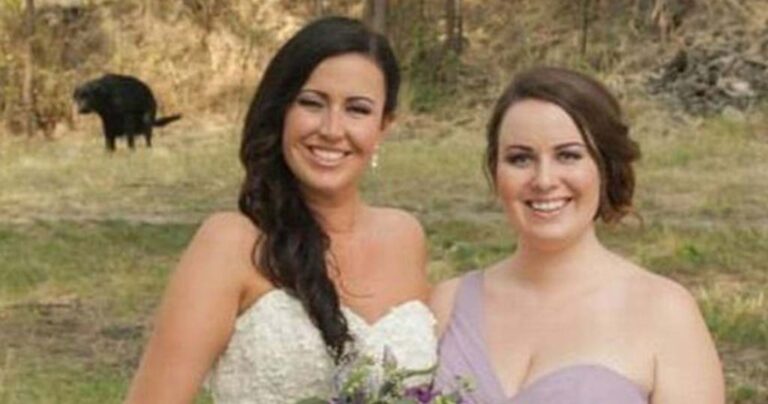 Όταν τα ζώα “καταστρέφουν” φωτογραφίες γάμων!