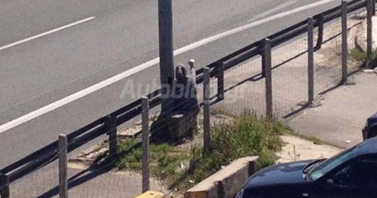 Καμουφλαρισμένη γιαγιά με μηχάνημα τροχαίας καταγράφει ταχύτητα και πινακίδες στην Αθηνών-Λαμίας!