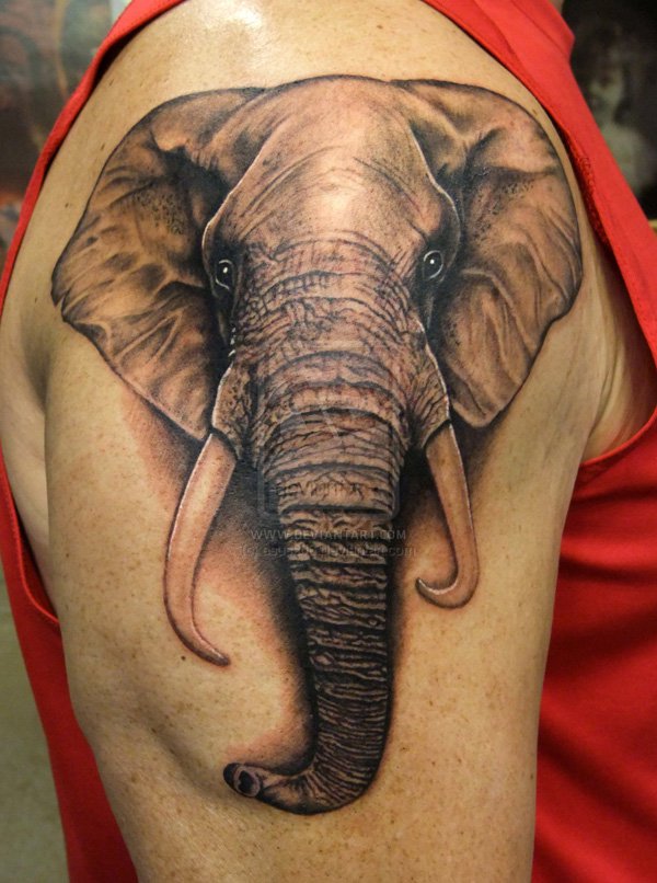 2-animal-tattoo