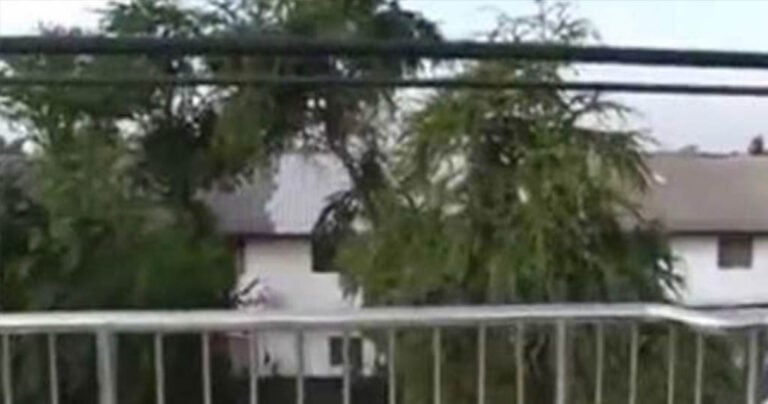 Ίσως η χειρότερη γέφυρα που φτιάχτηκε ποτέ