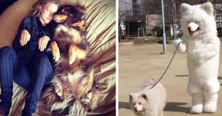 Δείξε μου το κατοικίδιο σου, να σου πω ποιος είσαι!