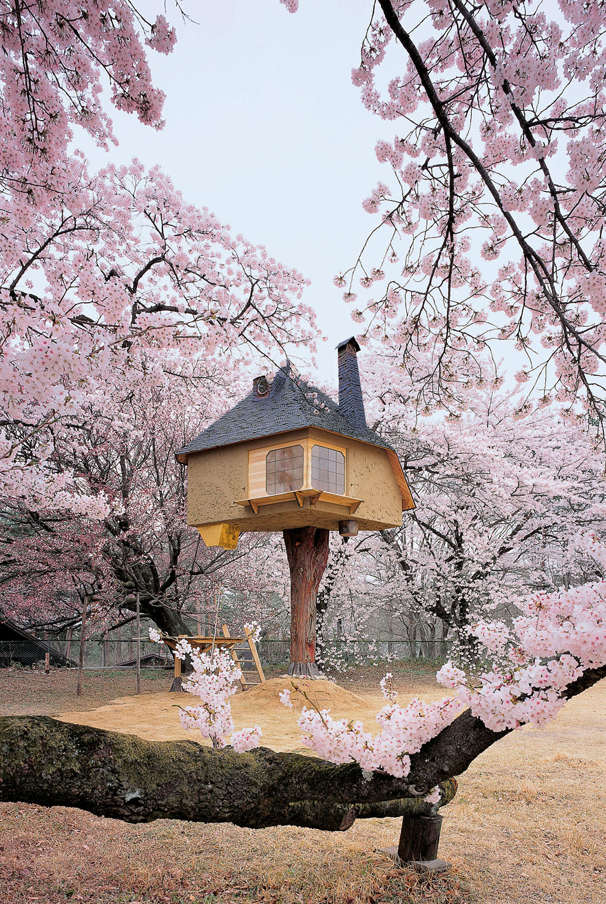 amazing-treehouses-17