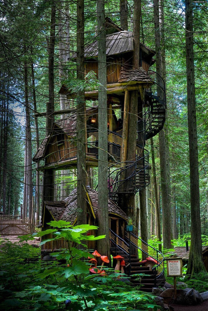 amazing-treehouses-4