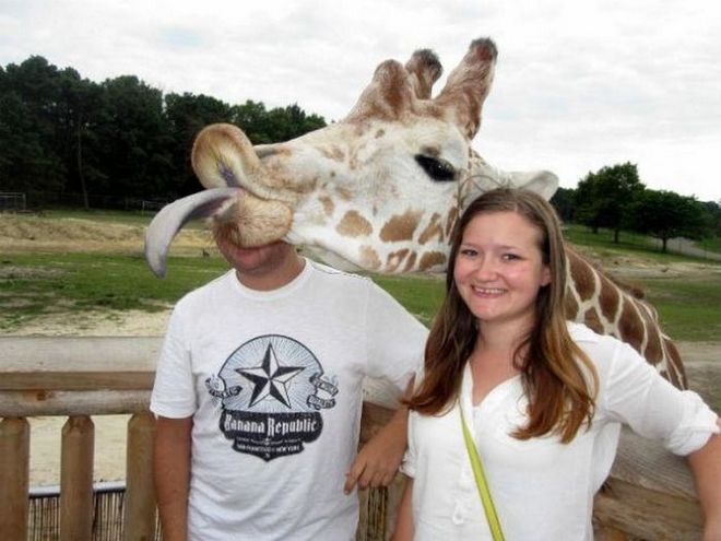 animal photobombs 22